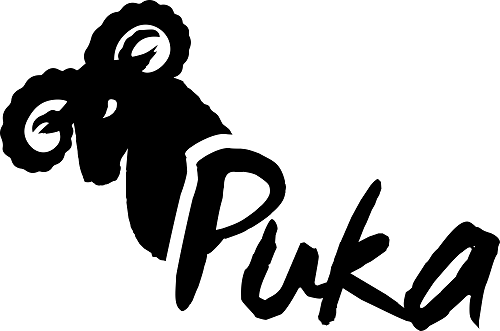 Puka Logo 2023 500